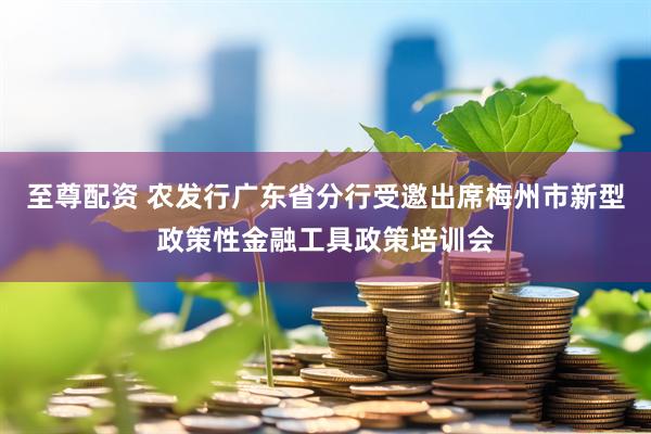 至尊配资 农发行广东省分行受邀出席梅州市新型政策性金融工具政策培训会