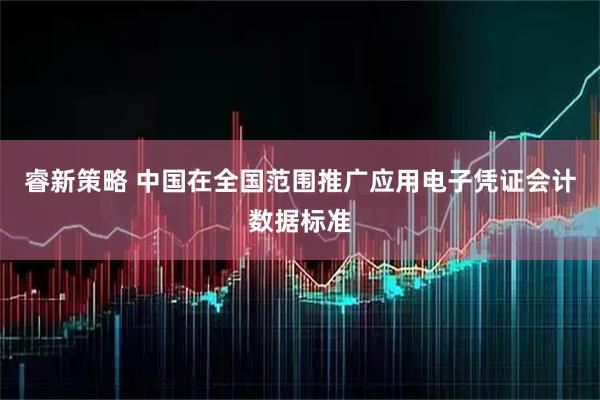 睿新策略 中国在全国范围推广应用电子凭证会计数据标准