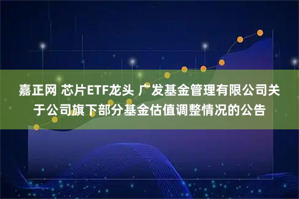 嘉正网 芯片ETF龙头 广发基金管理有限公司关于公司旗下部分基金估值调整情况的公告