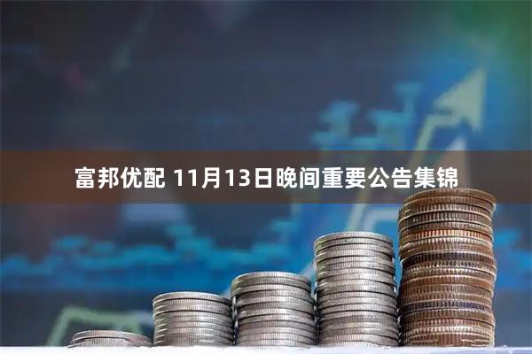 富邦优配 11月13日晚间重要公告集锦